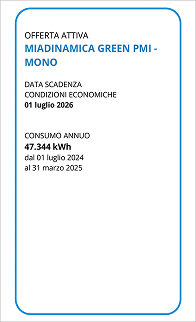 Immagine bolletta