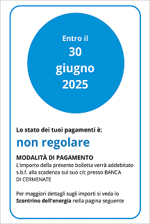 Immagine bolletta